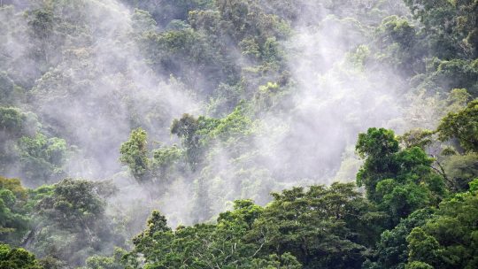 Le rôle négatif incontestable de l’homme sur l’environnement