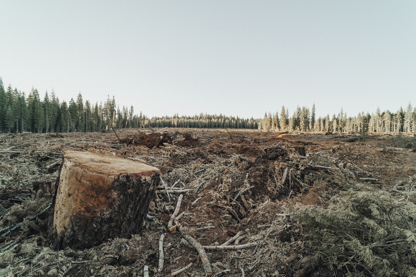 Dégradation environnement